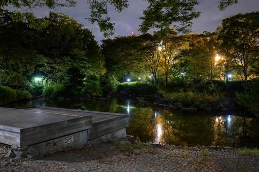 猿江恩賜公園　夜景　2025年 猿江恩賜公園,夜,公園の写真素材