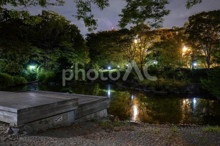猿江恩賜公園　夜景　2025年 猿江恩賜公園,夜,公園の写真素材