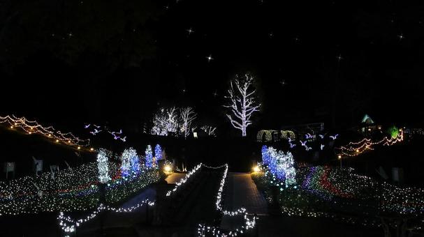 虹の郷　イルミネーション イルミネーション,クリスマス,夜景の写真素材