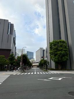朝方の大阪駅周辺　道路や横断歩道 大阪,横断歩道,早朝の写真素材