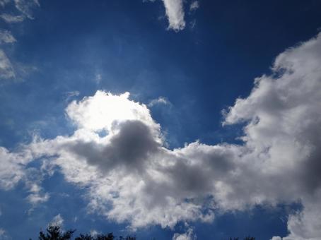 九月の雲-50 九月の雲-50の写真