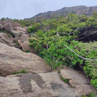登山中の岩場 登山中の岩場の写真