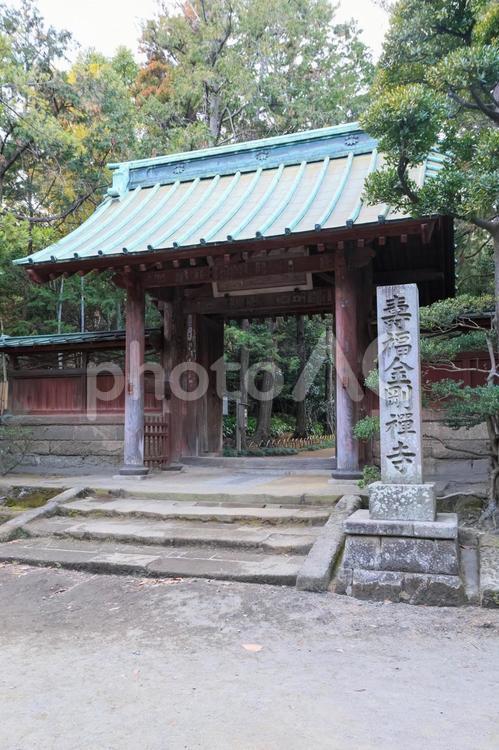 海蔵寺 海蔵寺,鎌倉,北鎌倉の写真素材