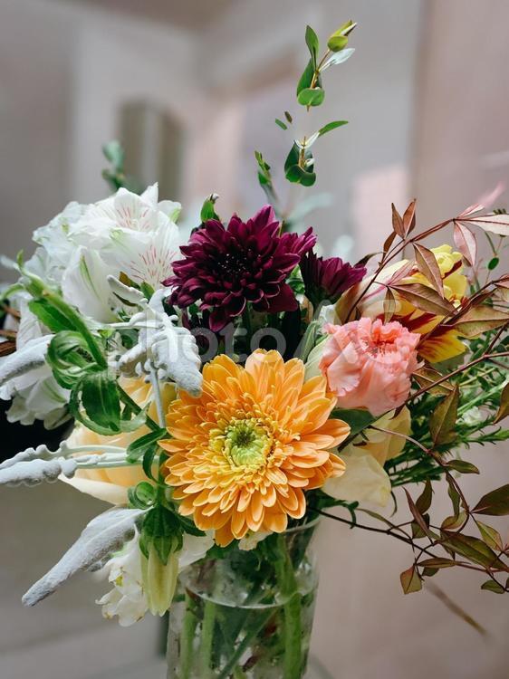 洗面所に飾られた色とりどりの季節の花々 花束,洗面所,ガーベラの写真素材