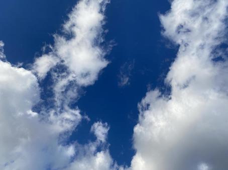 青空と雲 空,天気,浮かぶの写真素材