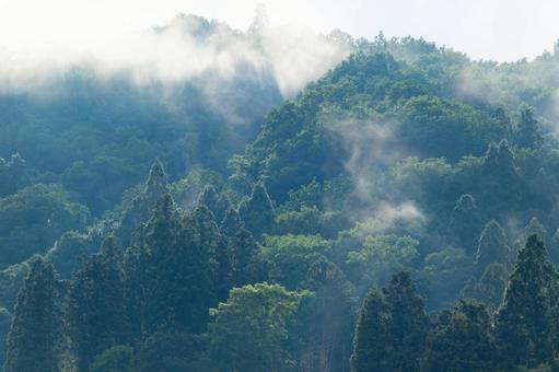 Photo, fog, mountain, to be bogged down, 
