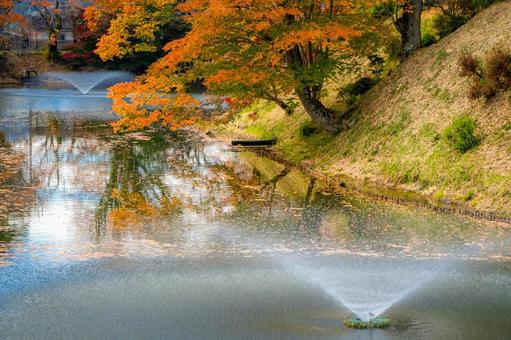 紅葉の棚倉城跡（亀ヶ城） 棚倉城跡,紅葉,棚倉町の写真素材