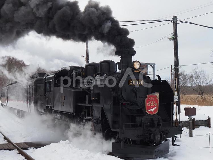 北海道　釧路市　冬のSL湿原号　15 sl,乗り物,鉄道の写真素材