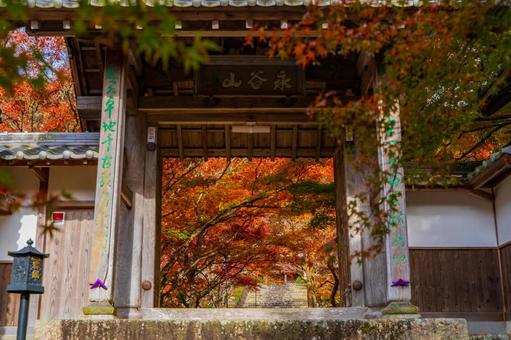 永谷山円通寺（兵庫県丹波市）-1 円通寺,丹波市,兵庫県の写真素材