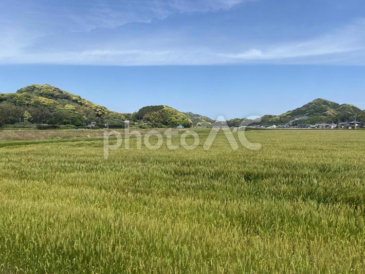 春の田園風景 田園,風景,春の写真素材