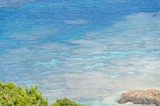 奄美大島　あやまる岬からの風景の写真