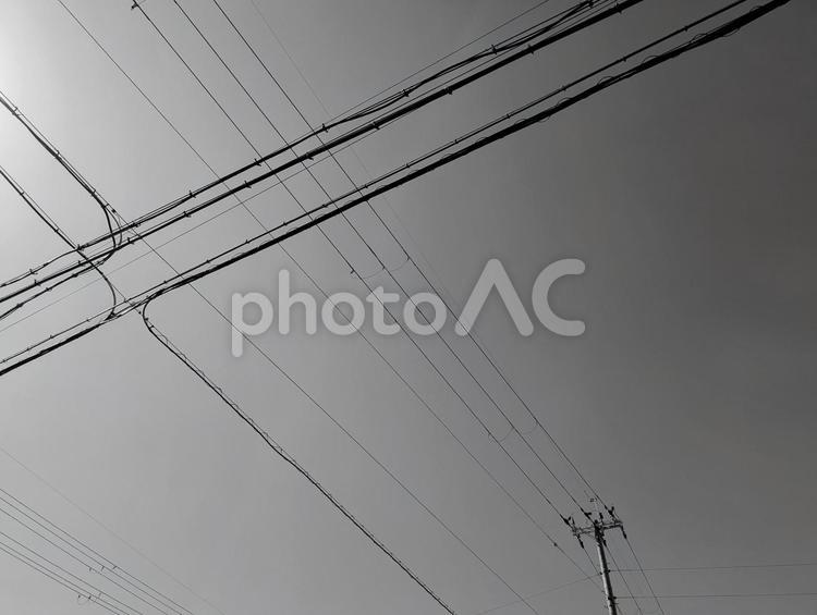 交差する電線と電柱のモノクロ写真 電柱,電線,交差の写真素材
