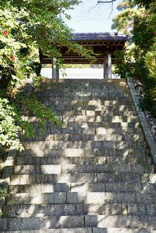 日の当たる階段 日の当たる階段の写真