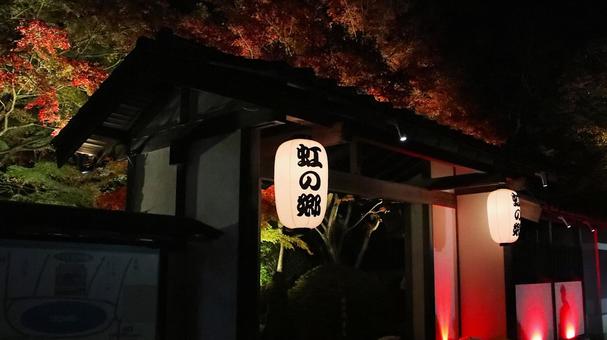 虹の郷夜景　紅葉と菖蒲門 紅葉,夜景,虹の郷の写真素材