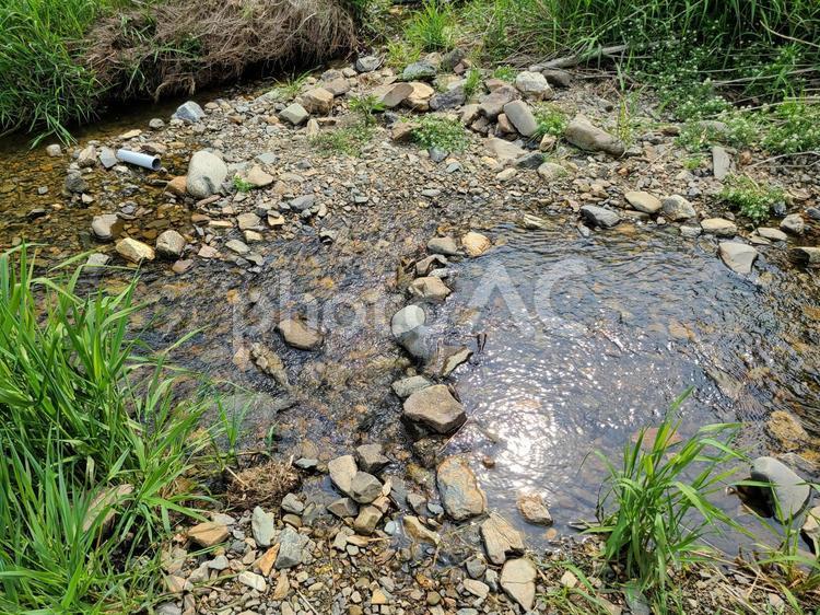 田舎の小川 田舎,小川,川の写真素材