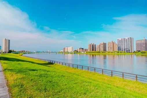 【新潟】信濃川付近の風景 【新潟】信濃川付近の風景 新潟,信濃川,大河の写真素材