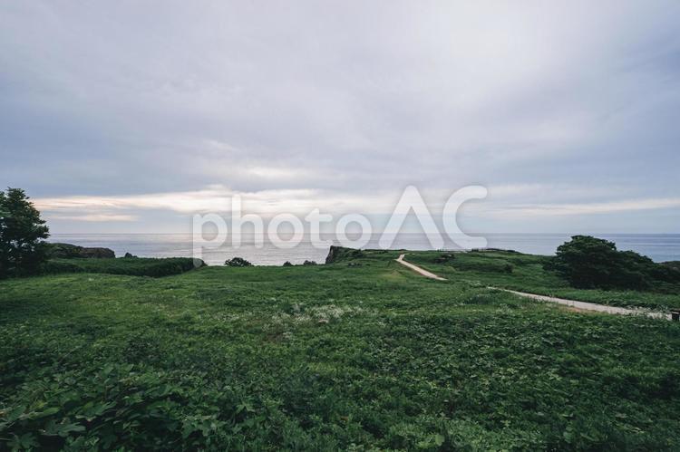 海の見える丘 風景,青空,海の写真素材