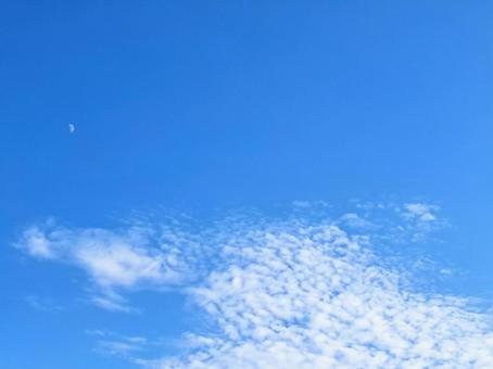 秋空に月 秋空に月 空,月,晴れの写真素材