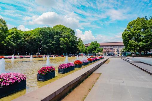 Photo, tokyo, ueno, ueno park, 