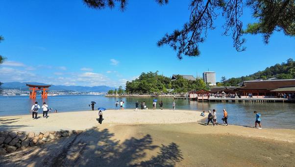 厳島神社と大鳥居 大鳥居,厳島神社,海の写真素材