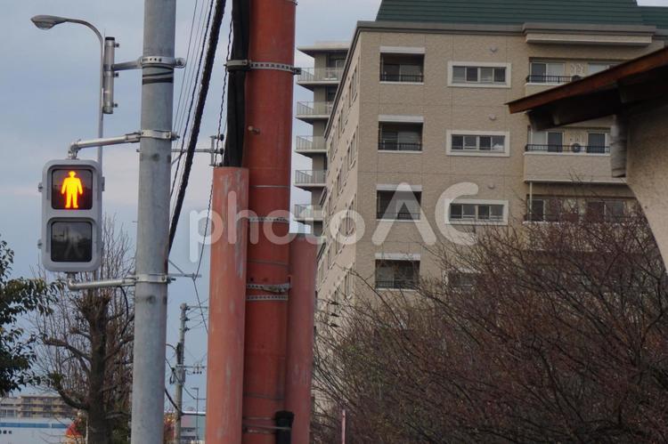 赤信号 信号,町,赤信号の写真素材
