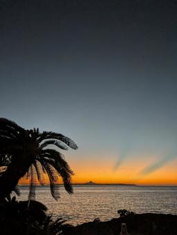 オレンジ色の空の写真