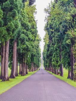 【北海道】北斗市・トラピスト大修道院 【北海道】北斗市・トラピスト大修道院の写真