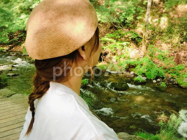 川を眺める女性の横顔 川,女性,木漏れ日の写真素材