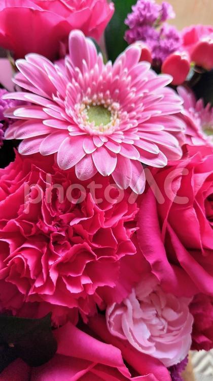 ガーベラ、バラ、カーネーション縦位置１ フラワーアレンジ,ピンク,バラの写真素材