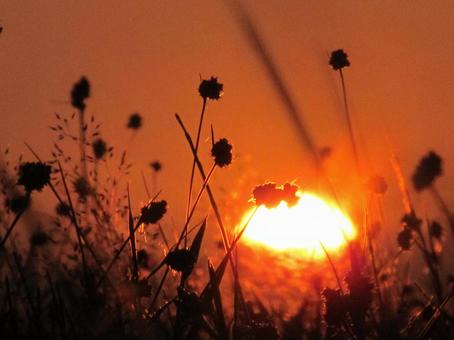 夕焼け空の風景の写真