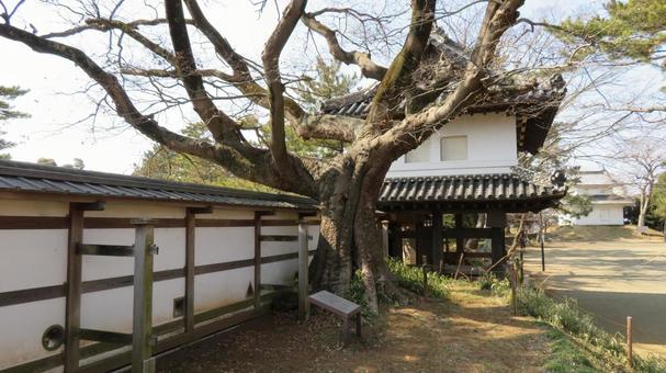 土浦城　本丸　太鼓櫓門　西櫓 土浦城,亀城,太鼓櫓門の写真素材