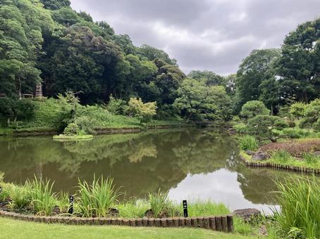 肥後細川庭園の庭園風景 肥後細川庭園の庭園風景の写真