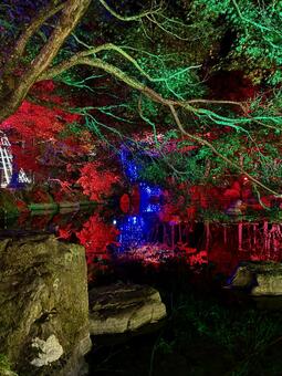 越前陶芸村　陶あかり　福井県陶芸館 福井,越前市,伝統工芸の写真素材