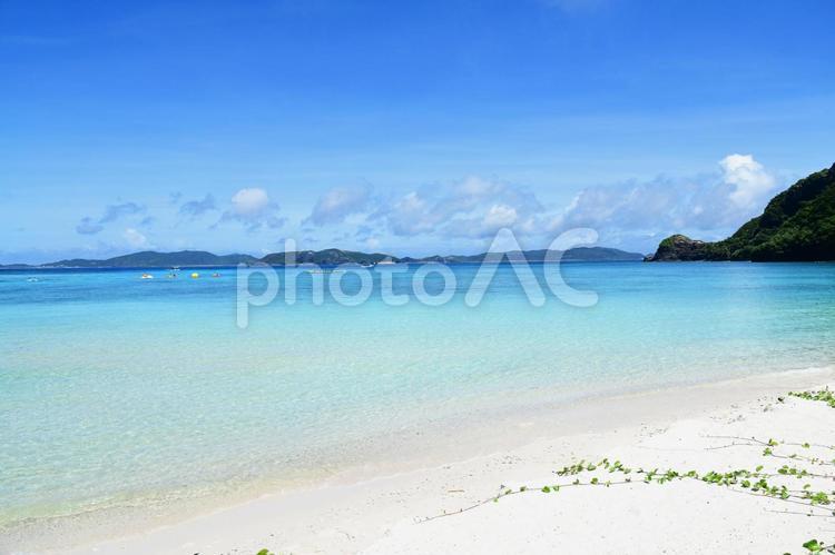 綺麗な海とさわやかな空 海,沖縄,自然の写真素材