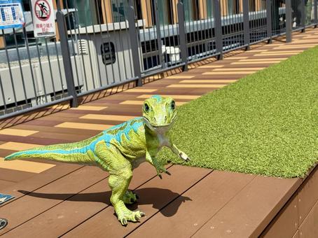 福井駅の屋上　恐竜のモニュメント モニュメント,恐竜,ウッドデッキの写真素材