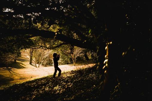<素材>秋の森の中で写真を撮る女性写真家 <素材>秋の森の中で写真を撮る女性写真家 女性,人物,風景の写真素材