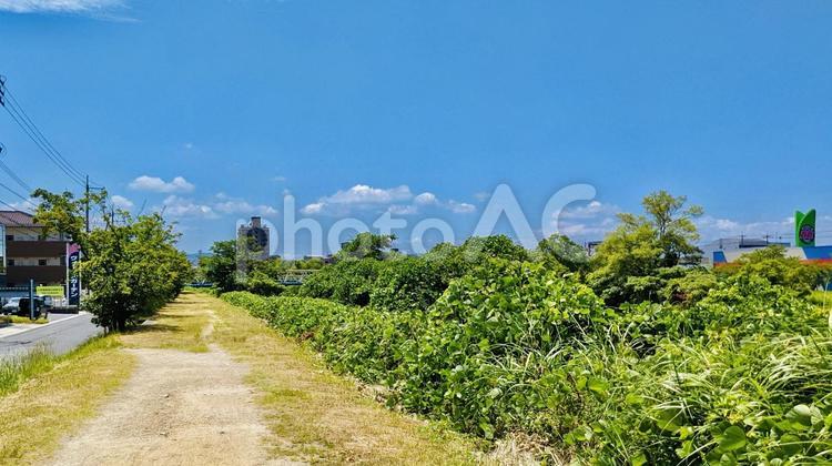 小学校の帰り道 田舎,夏,夏休みの写真素材