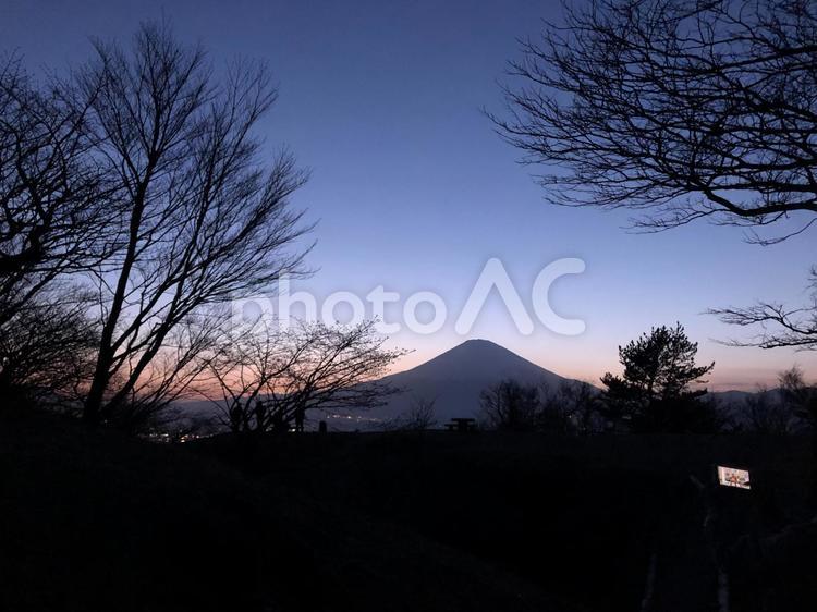 足柄峠から見た富士山　シルエット　木々 富士山,シルエット,足柄峠の写真素材