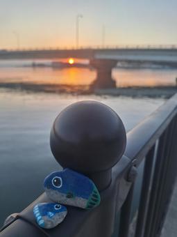 石ころアート（魚＆朝日） 石ころ,魚,川の写真素材