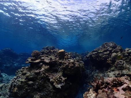 沖縄の海 水中写真,海,海の中の写真素材