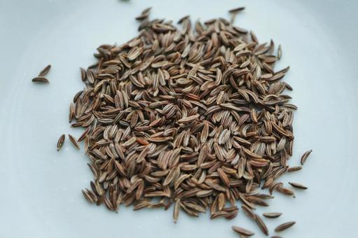 白い背景に広がるキャラウェイシードの山 白い背景に広がるキャラウェイシードの山 キャラウェイシード,種子,細長いの写真素材