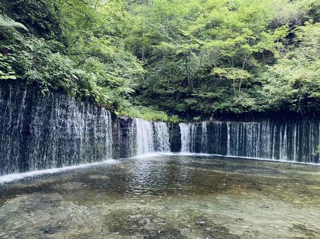 滝 滝の写真