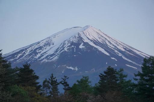 富士山 富士山の写真