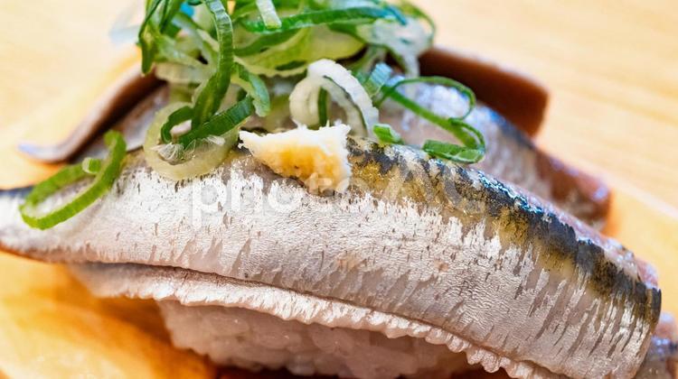 イワシのにぎり寿司 イワシ,寿司,にぎり寿司の写真素材