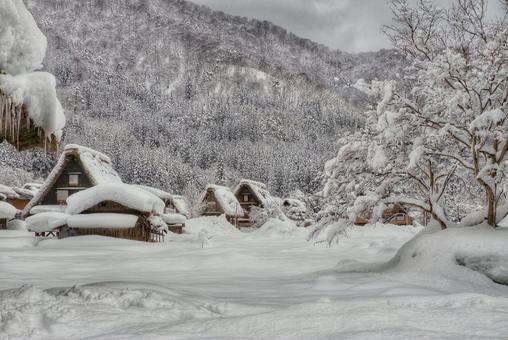 冬の白川郷 白川郷,世界遺産,冬の写真素材