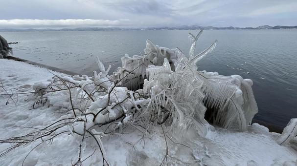 冬の福島の風物詩「しぶき氷」 しぶき氷,樹氷,飛沫氷の写真素材