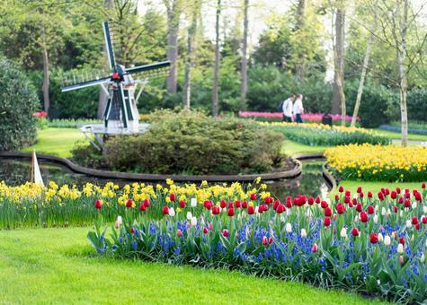 Photo, キ ュ ー ケ ン ホ フ park, netherlands, amsterdam, 