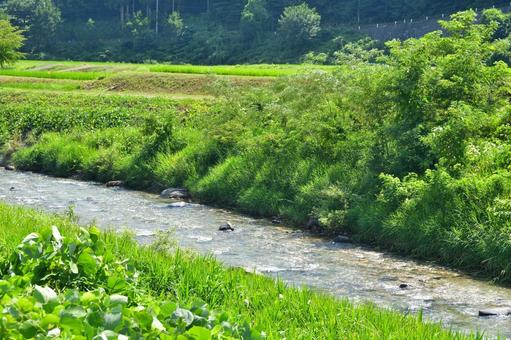 里の川 里の川 自然,風景,川の写真素材
