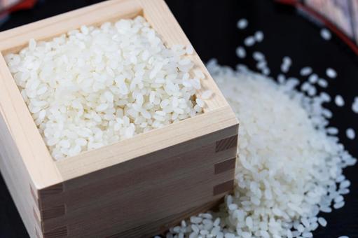 北海道産の「ゆめぴりか」の新米 お米,ごはん,主食の写真素材