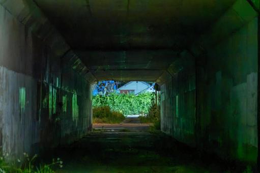 トンネルの向こう側 トンネル,道路,コンクリートの写真素材